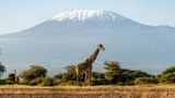 Kenya is one of Selara Africa's destinations.