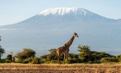 Kenya is one of Selara Africa's destinations.