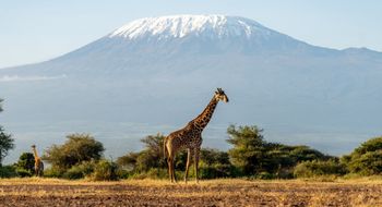 Kenya is one of Selara Africa's destinations.