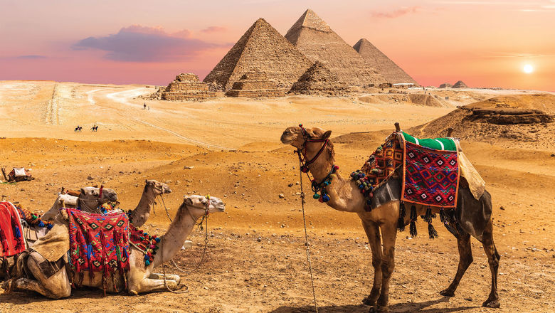 Camels near the Giza pyramids in Egypt. Several tour operators are no longer offering camel rides there.