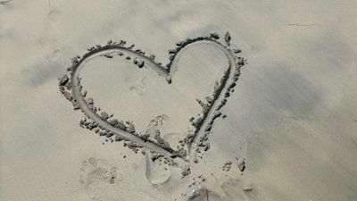 Travel advisors have gotten requests from clients who want to visit Jamaica early next year to support its recovery.