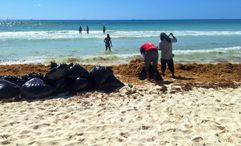 Workers remove sargassum from a beach in Playa del Carmen in April.