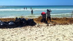 Workers remove sargassum from a beach in Playa del Carmen in April.