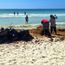 Mexico's president pledges $115 million to battle sargassum