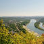 Low river levels in Europe are challenging river cruise lines and advisors