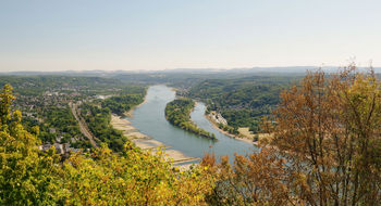 Low water levels on the Rhine have created significant hurdles for operators this year.
