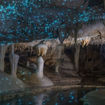 National Geographic Signature with G Adventures' New Zealand tour includes the Waitomo Glowworm Caves.
