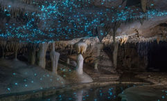 National Geographic Signature with G Adventures' New Zealand tour includes the Waitomo Glowworm Caves.