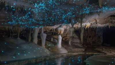 National Geographic Signature with G Adventures' New Zealand tour includes the Waitomo Glowworm Caves.