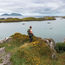 Ireland, one step at a time