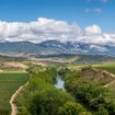 Vineyards in La Rioja are part of a Nat Hab Cultural Journey itinerary in Spain.