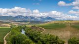 Vineyards in La Rioja are part of a Nat Hab Cultural Journey itinerary in Spain.