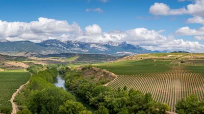 Vineyards in La Rioja are part of a Nat Hab Cultural Journey itinerary in Spain.