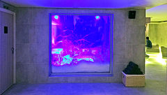 Dispatch, Viking Star: The Snow Grotto