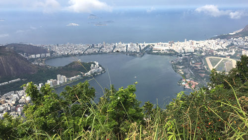 Dispatch, Rio: Fast-paced and hair-raising