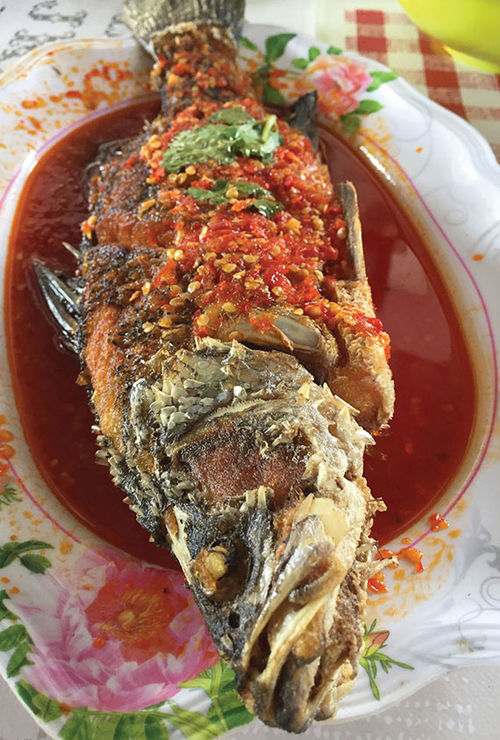 Dispatch, Thailand: Spice up your life