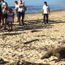 Dispatch, Bali: In search of the Komodo dragon