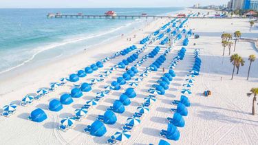 Top Travel Experiences in Saint Pete–Clearwater