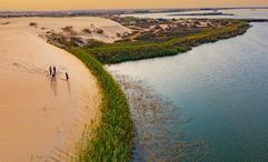 Al Ahsa Oasis