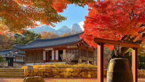 Unearthing Seoul's Hidden Gems