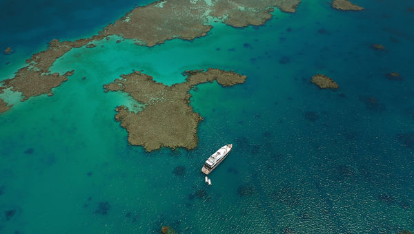 Saudi Arabia's coral reefs are a diver's delight.
