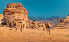 Why Saudi Arabia Is Your Next Adventure Travel Destination