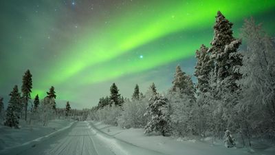 TTC Tour Brands — Your Leadership Needs a North Star