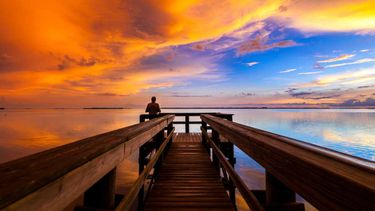 Top Travel Experiences in Fort Myers