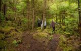 Exploring the Ketchikan wilderness on one of Holland America's 175+ wildlife and wilderness tours