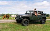 Wild Florida's Drive-thru Safari Park, gives visitors to Orlando a chance to discover more than 150 native and exotic animals roaming free.