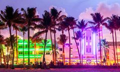 VIDEO: What Is Your Favorite Florida Pre- or Post-Cruise Fam?