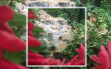 CROP TO SQUARE LATER: Shoot in landscape/portrait mode and then crop to the square image—this way you can edit to find the most pleasing composition.