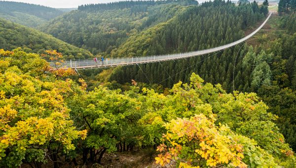 It It's easy to get close to nature in off-the-beaten-path destinations; Rhineland-Palatinate's extensive trails are the perfect routes for exploration.