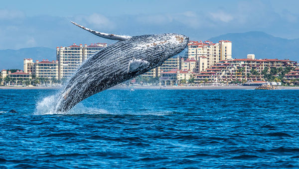 A New Era of Experiential Travel: Curating Hyper-Local Itineraries