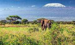Photo courtesy of Air France