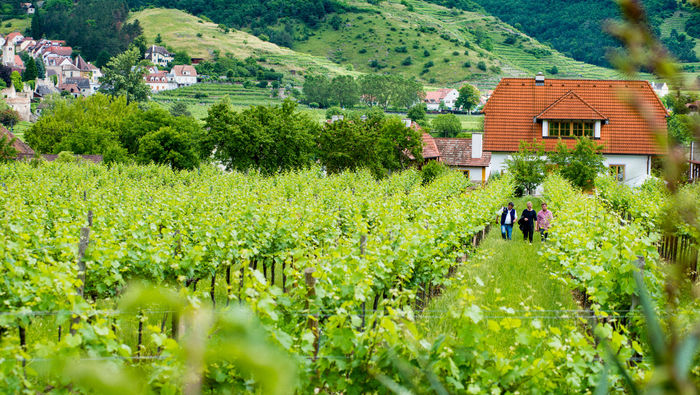 Cruising Together With Avalon Waterways