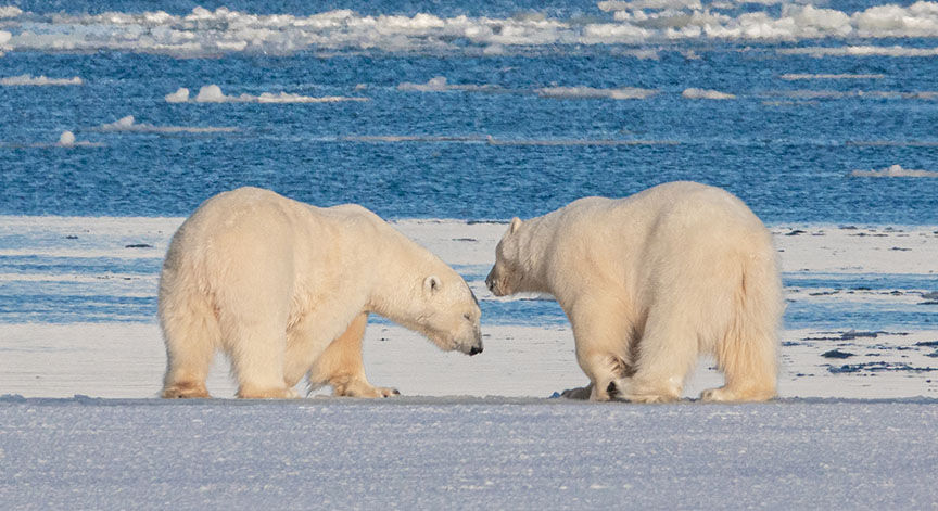 Regenerative Tourism: Beyond Sustainable Tourism