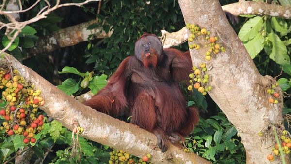 How (and Why) to Partner with Wildlife Travel Experts How (and Why) to Partner with Wildlife Travel Experts