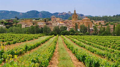 How Gastronomy Drives Tourism — and Sales
