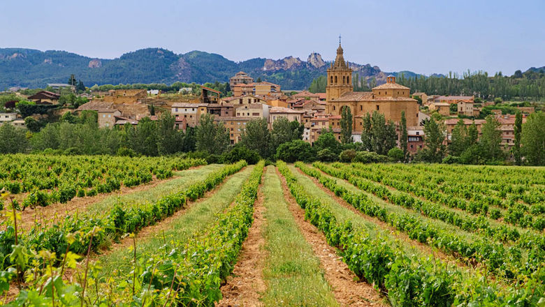 How Gastronomy Drives Tourism — and Sales