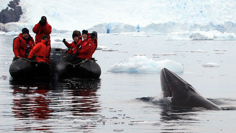 Adventurous Expeditions Travel