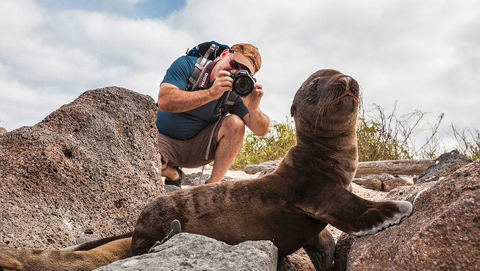 Zegrahm Expeditions and International Expeditions: The True Experts