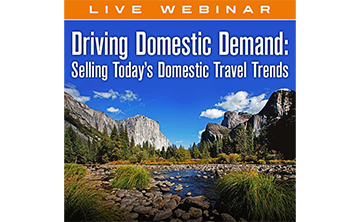 Driving Domestic Demand