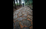 Walking on the Nakasendo near Shinchaya.