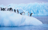 Roger Block, Travel Leaders Franchise Group, hopes to someday be one of the more than 37,000 annual visitors to Antarctica, his top bucket list choice.