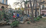 A small park provides the venue for Havana residents to gather at dusk.