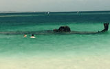 Dog Island provided the opportunity to snorkelers to explore a coral encrusted shipwreck.