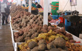 Potatoes at Cusco's San Pedro Market. The country grows thousands of potato varieties.