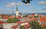 View of Tallinn's Lower Town rooftops, seen from a viewing point on Toompea Hill. The steeple of St. Olaf's Church rises above it all.