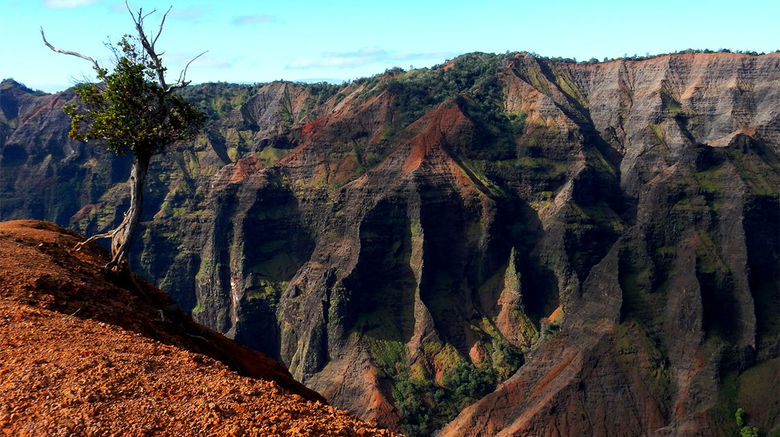 Kauai is the oldest of Hawaii's eight major islands, dating back more than 5 million years, and all that time to erode makes the Garden Isle home not only to the most white-sand beaches in the state but also the archipelago's only navigable rivers and jaw-dropping Waimea Canyon, pictured here. Photos posted March 29, 2015.